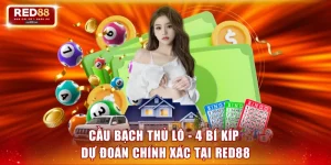 cầu bạch thủ lô