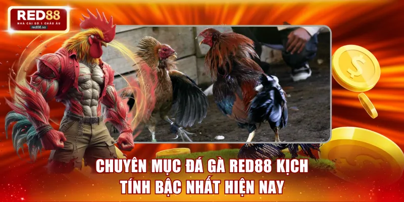 Chuyên mục đá gà RED88 kịch tính bậc nhất hiện nay