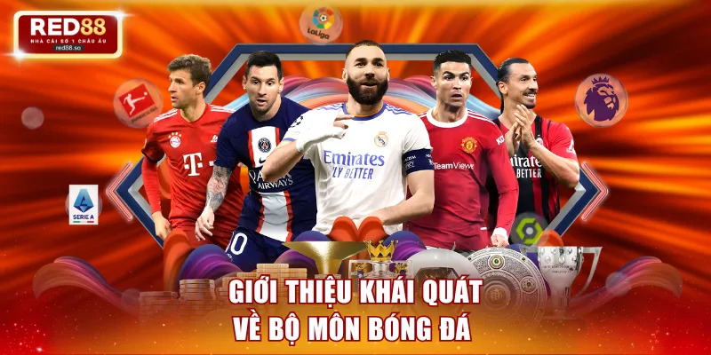 Giới thiệu khái quát về bộ môn bóng đá 