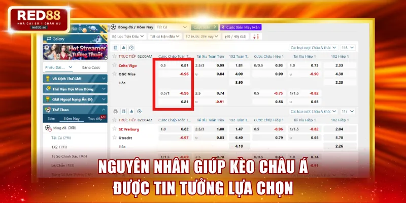 Nguyên nhân giúp kèo châu Á được tin tưởng lựa chọn