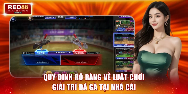 Quy định rõ ràng về luật chơi giải trí đá gà tại nhà cái