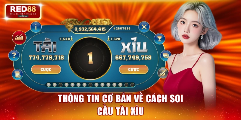 Thông tin cơ bản về cách soi cầu tài xỉu