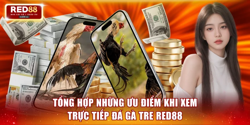 Trải nghiệm ưu việt khi xem các màn so tài tại RED88